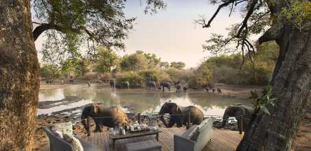 Kanga Camp