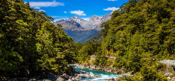 Exceptional Australia and New Zealand