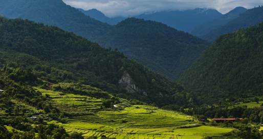 COMO Uma Punakha- 32