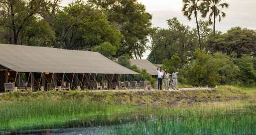 Gomoti Plains Camp- 9