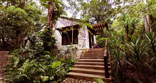 Jungle Lodge- 7
