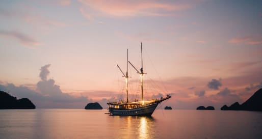 Senja at Night 