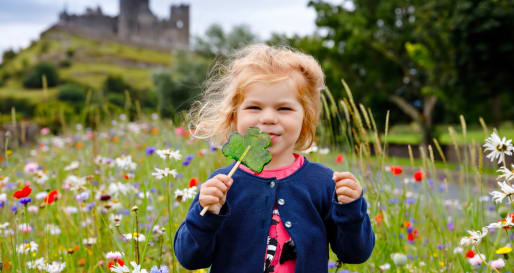 The Rock of Cashel 