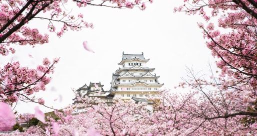 Himeji Castle 