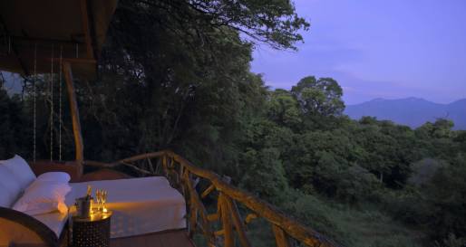 Sarara Treehouses- 6