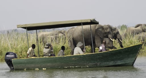 Boating safari 