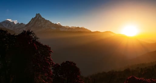 Hike to Tadapani - Annapurna