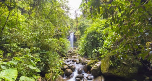 Boquete Waterfall  
