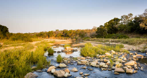 Singita Ebony Lodge- 4