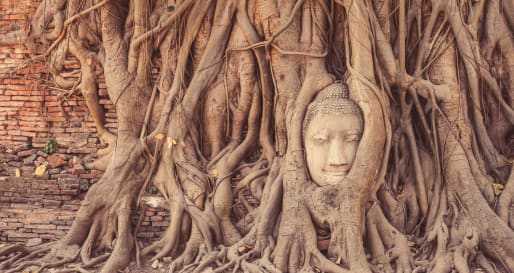 Wat Mahathat  - Heritage of Ancient Ayutthaya in Style
