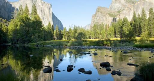 Guided day in Yosemite with Naturalist Guide
