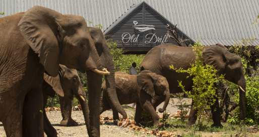 Old Drift Lodge- 16