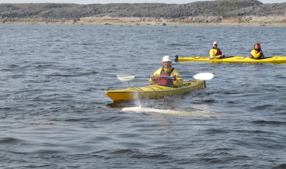 Sea Kayaking in the Arctic
