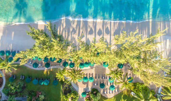 Coral Reef Club