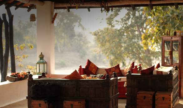 Flame of the Forest
