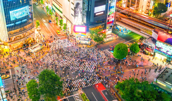 Half Day Tour of Western Tokyo