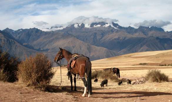 Sacred Valley Horse Riding & Pisac