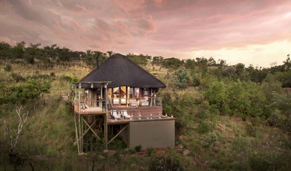 Mhondoro Safari Lodge and Villa