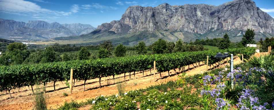 The Winelands