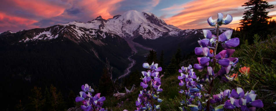 Pacific Northwest