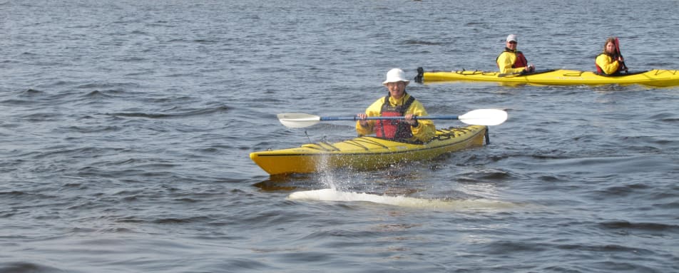 Sea Kayaking in the Arctic