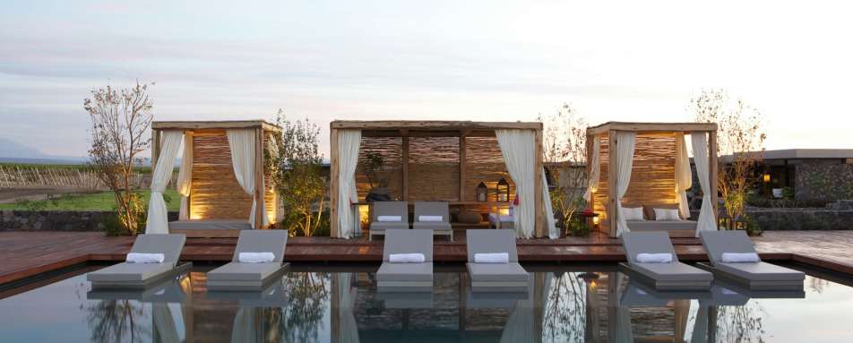 The Vines Resort & Spa- 25