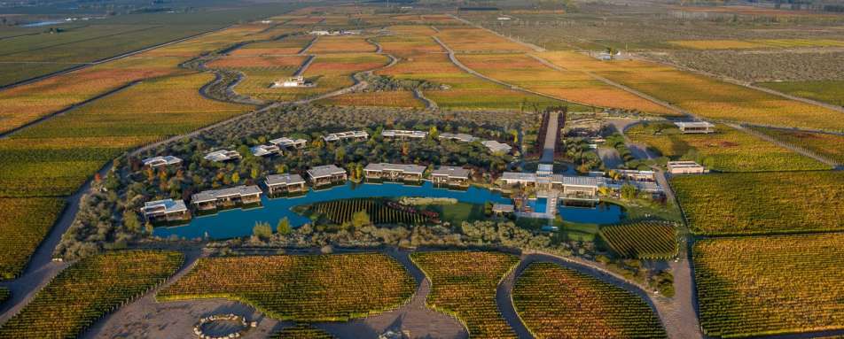 The Vines Resort & Spa- 94