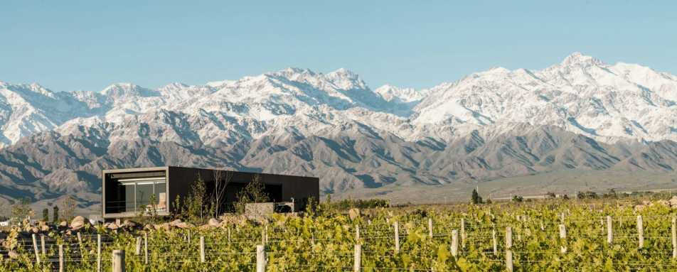 The Vines Resort & Spa- 89