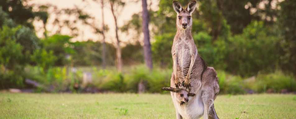 Family holidays to Australia