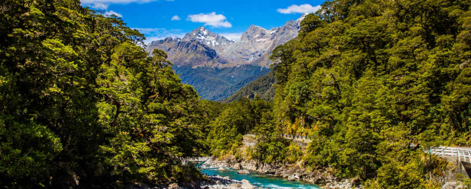 New Zealand