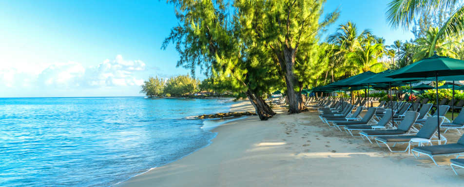 Coral Reef Club- 33