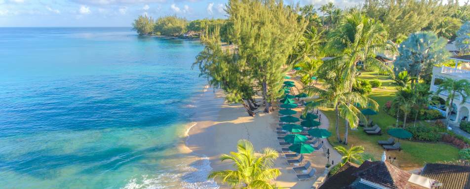 Coral Reef Club- 43