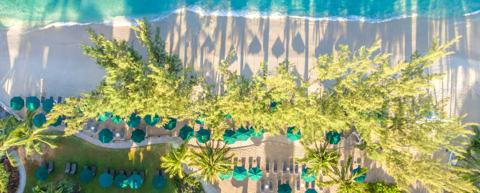 Coral Reef Club- 37