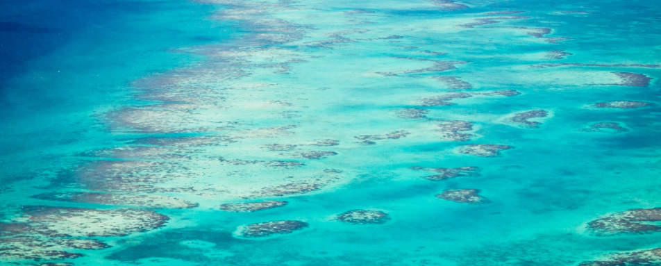 Barrier Reef 