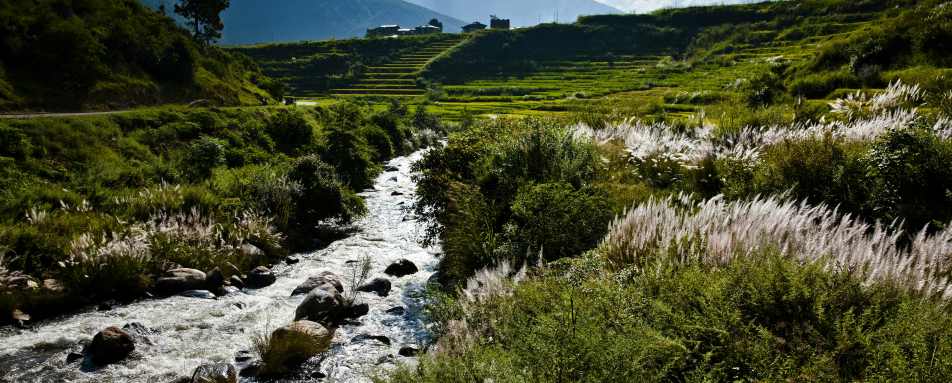 COMO Uma Punakha- 63