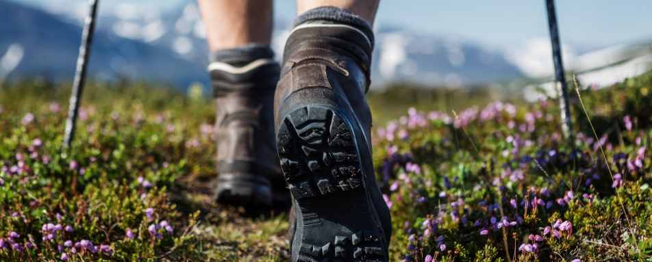 The Gangtey 360°Hike