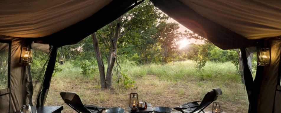 Tent View 