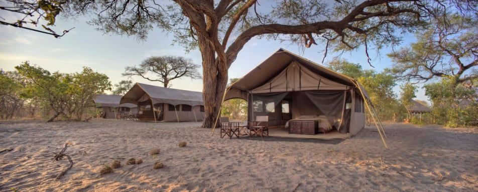 Tents 