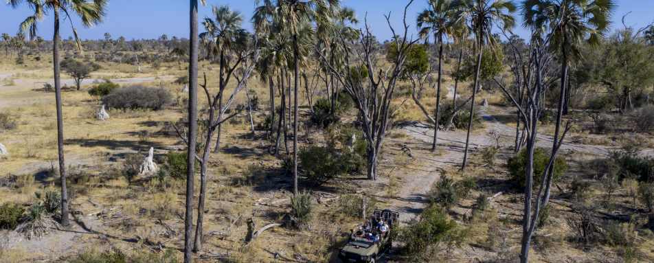 Gomoti Plains Camp- 13
