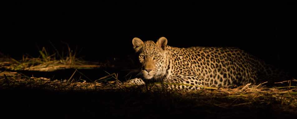 Machaba Camp- 19