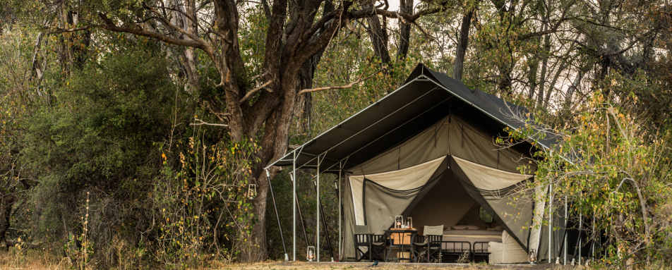 Machaba Camp- 15
