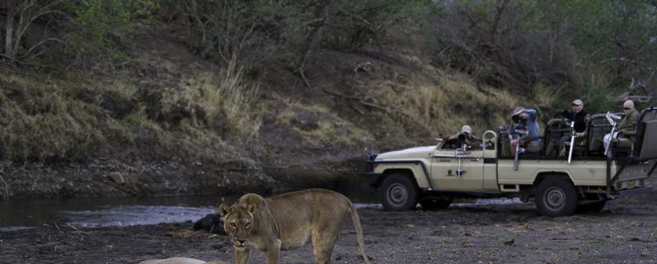 Mashatu Lodge- 24