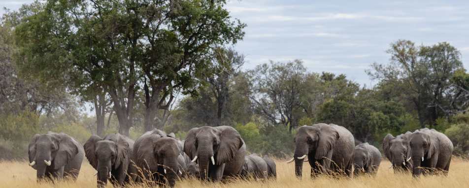 North Island Okavango- 23