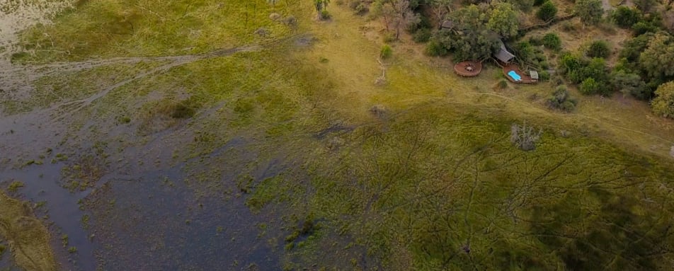 Aerial  