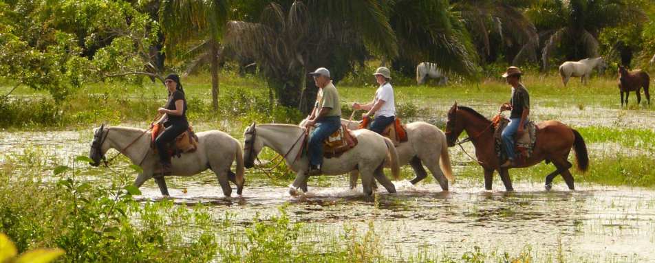 Araras Eco Lodge - Horse Ride