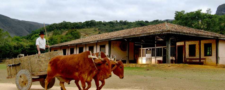 Life on the farm 