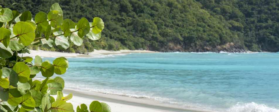 Guana Island  