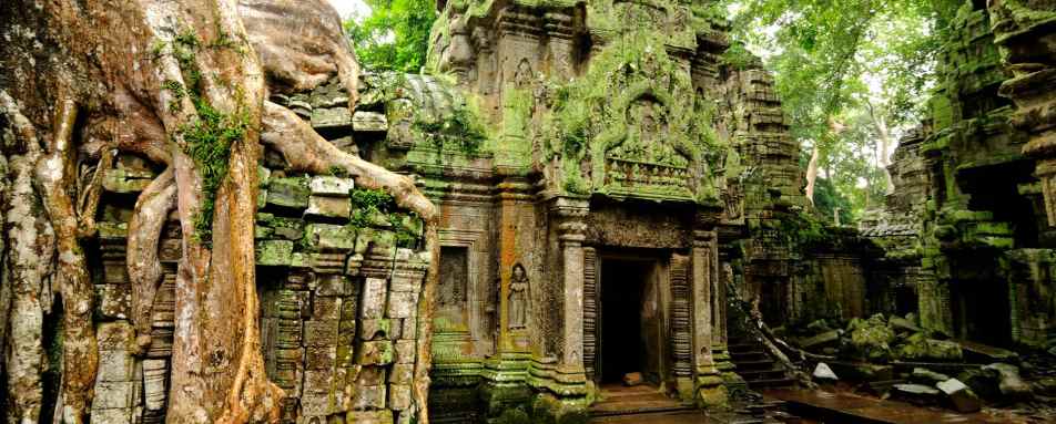 Temples of the Forest