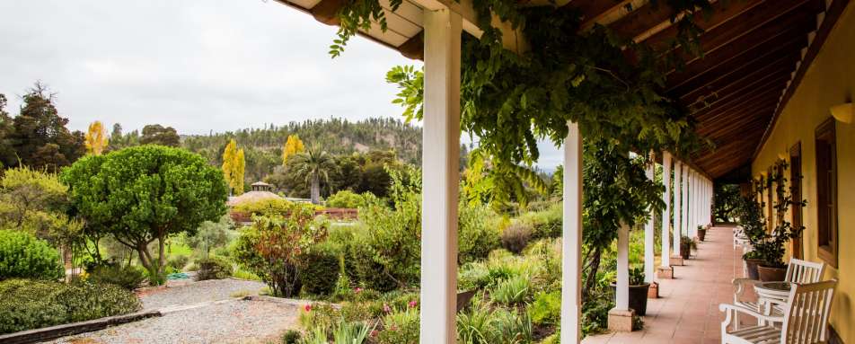 Gardens - La Casona at Matetic Vineyards