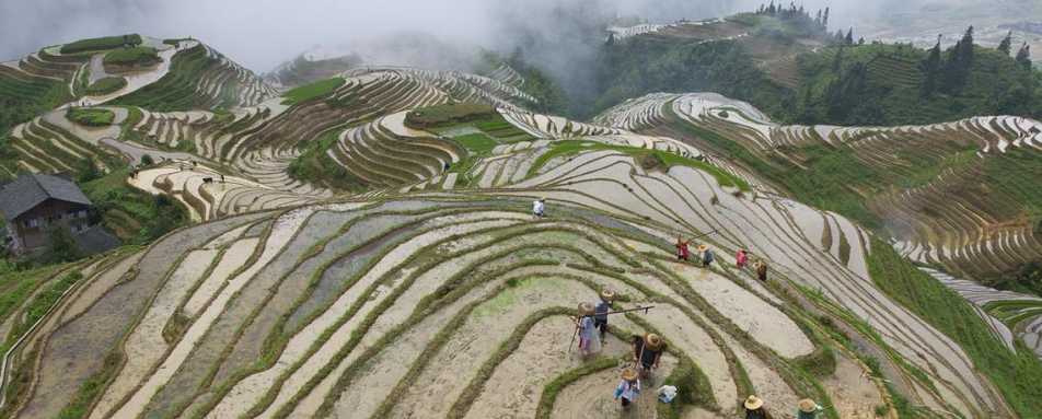 Li An Lodge   - Rice Terraces 